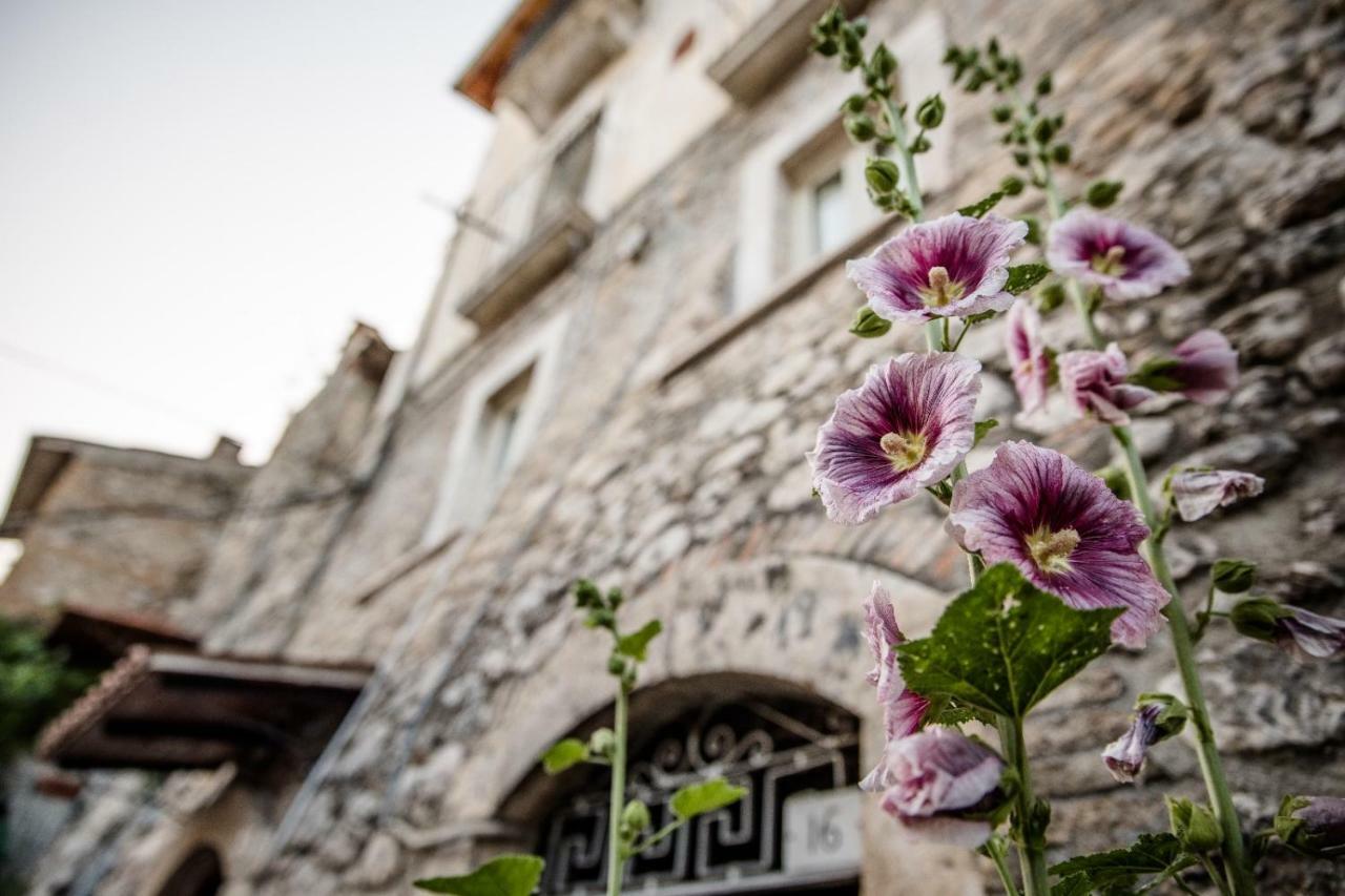 Lavistadeisogni Muranuove Celano Exterior foto